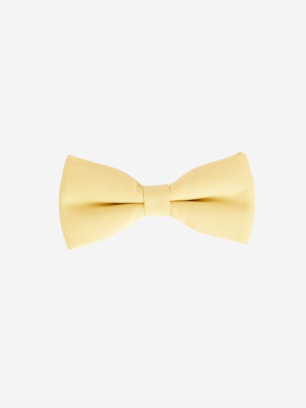LAÇO SMK AMARELO CLARO